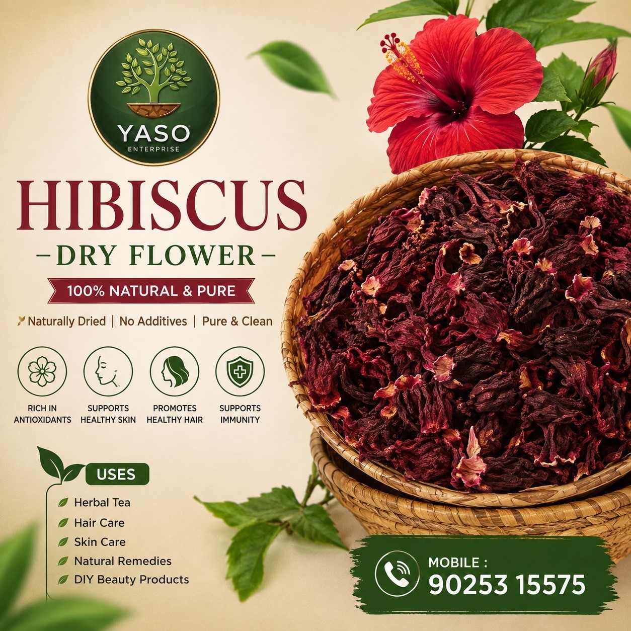 hibiscus 113